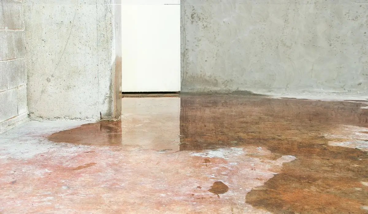 Standing water on concrete basement floor caused by summer rain and foundation leaks—illustrates hidden moisture issues homeowners often overlook.