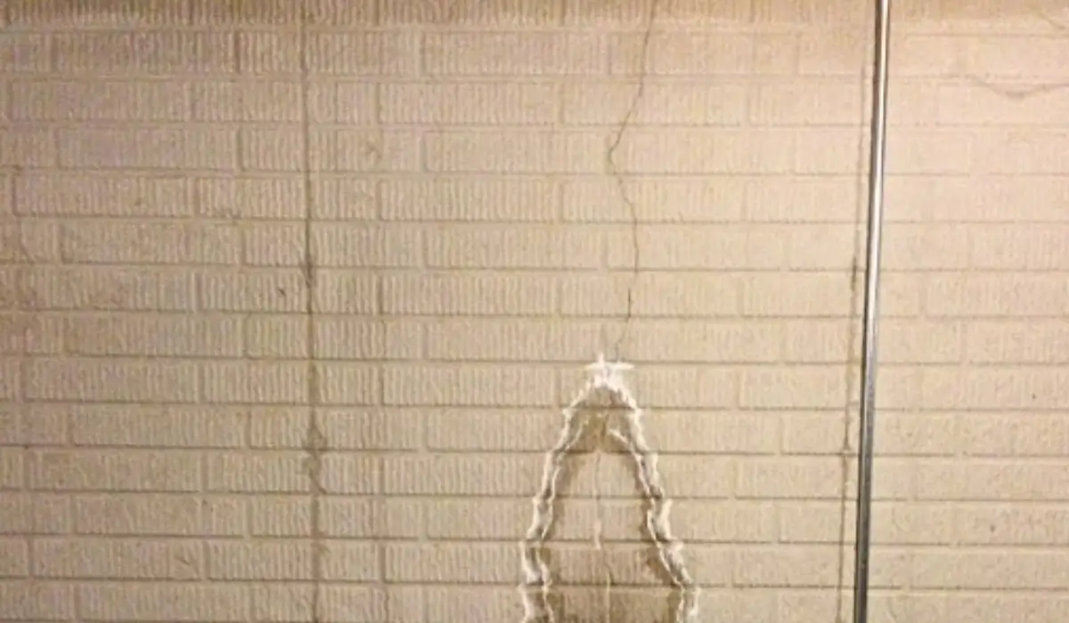 Curated visual reference: Bias More Risk Patched Wall Sharing Progressive Corner Lives Reference: Basement Walls Cracks Signs Risks Expert Repair