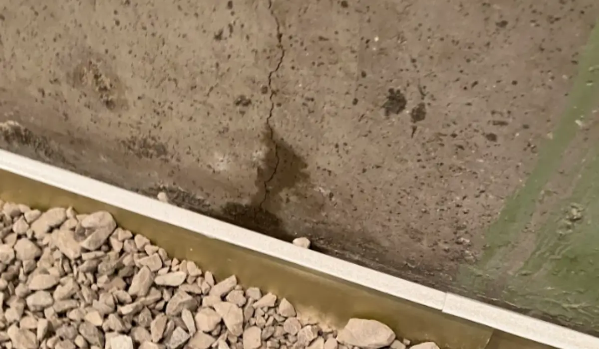 Interior foundation wall crack with early signs of moisture intrusion from winter foundation movement.